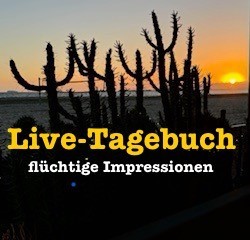 Silhouette von Kakteen vor einem Sonnenuntergang. Text: 'Live-Tagebuch' und 'flüchtige Impressionen' in gelber und weißer Schrift.
