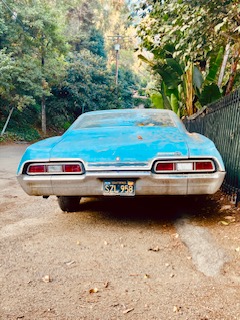 Ein hellblauer Oldtimer mit einer abgenutzten Karosserie steht auf einem Kiesweg. Die Rückansicht zeigt rot-weiße Rücklichter, umgeben von üppigem Bäumen und Sträuchern