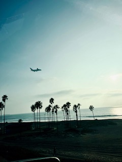 Silouette eines Flugzeugs, das im dunstigen Gegenlicht über die Küste fliegt. Im Hintergrund glitzert das Meer, davor die Silouetten von hohen Palmen bei blassblauem Himmel