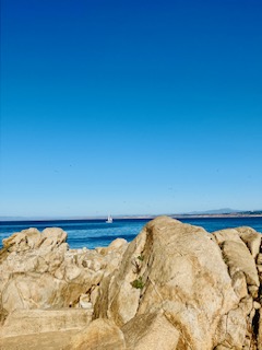 Große, unregelmäßige Felsen am Ufer der Monterey Bay, im Hintergrund ein Segelboot auf dem tiefblauen Wasser und ein klarer blauer Himmel.