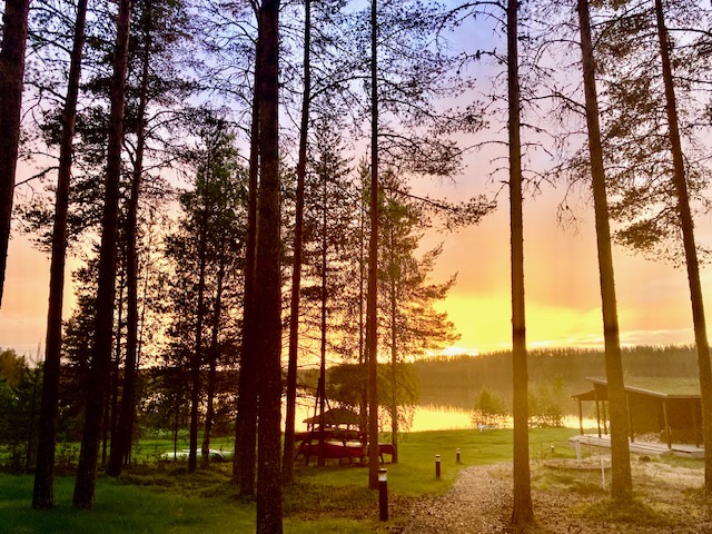 Dramatischer gelb- und rosafarbener Sonnenuntergang über einem See, gesehen durch hohe Kiefern mit einer Picknickbank und einem kleinen Pavillon am Ufer
