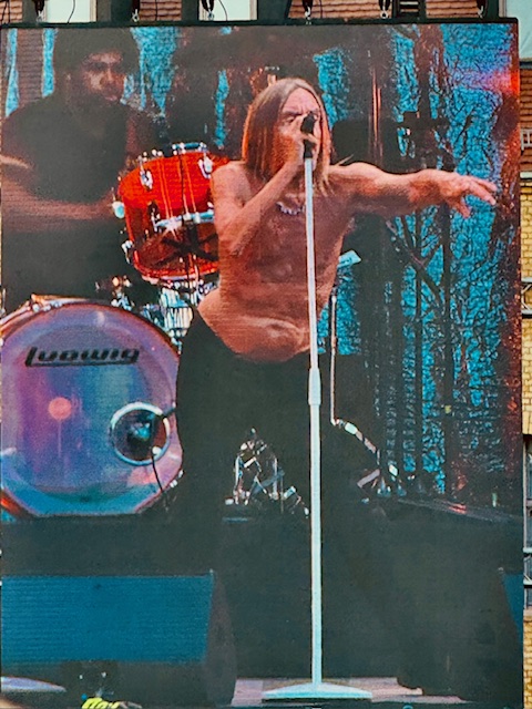Sänger mit nacktem Oberkörper hält Mikrofon und zeigt mit ausgestrecktem Arm ins Publikum, dargestellt auf einer Leinwand bei einem Konzert im Freien. Der Sänger ist Iggy Pop