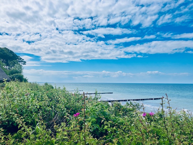 Blick auf die Ostsee bei Kühlungsborn mit grünen Sträuchern im Vordergrund und blauem Himmel mit sommerlichen Wolken