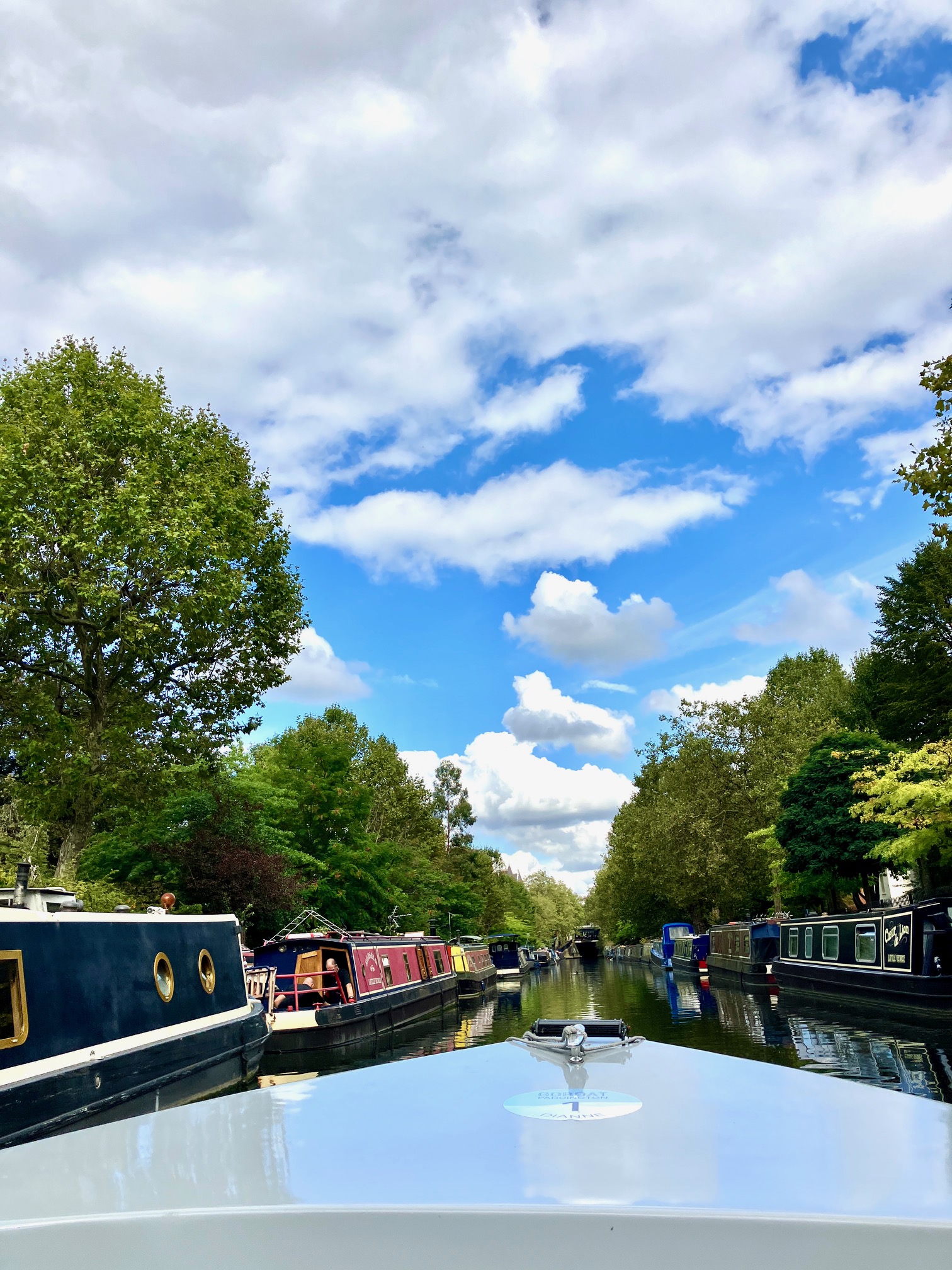 Blick vom Bug eines Bootes auf den Regent's Canal in London mit Hausbooten und grünen Bäumen unter blauem Himmel mit freundlichen Wolken