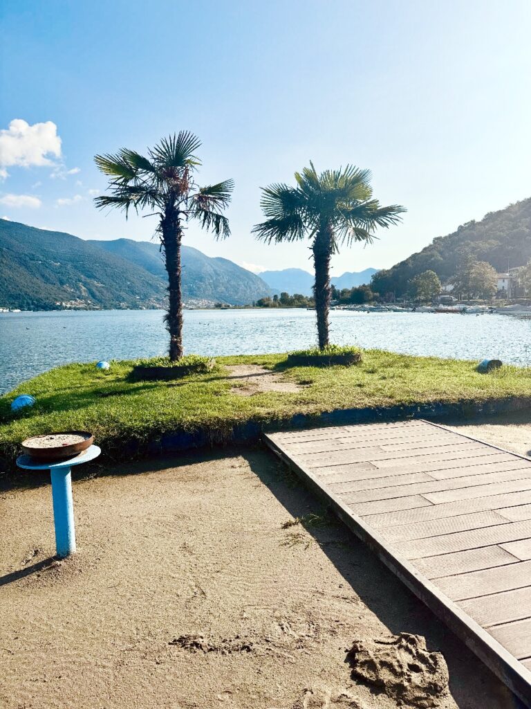 Zwei Palmen stehen auf einer grasbewachsenen Uferlinie am Lago Iseo, dahinter Wasser und bewaldete Berge unter blauem Himmel