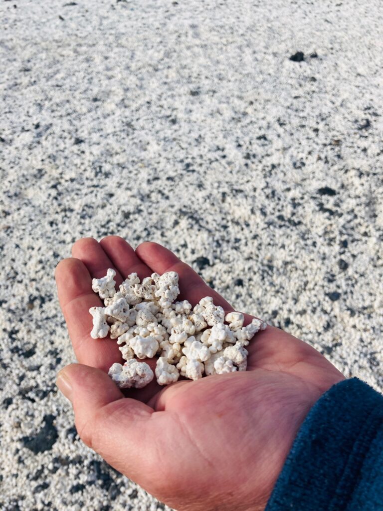 Hand mit hellen, unregelmäßig geformten Steinen in Form von Popcorn vor einem mit solchen Steinchen bedeckten Strand