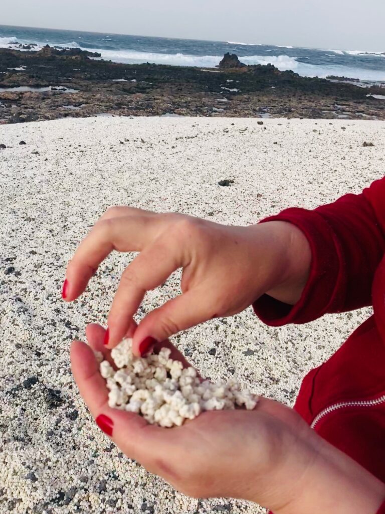 Hände mit roten Fingernägeln halten und greifen kleine weiße Korallenstücke in Form von Popcorn am Strand mit felsiger Küste im Hintergrund.