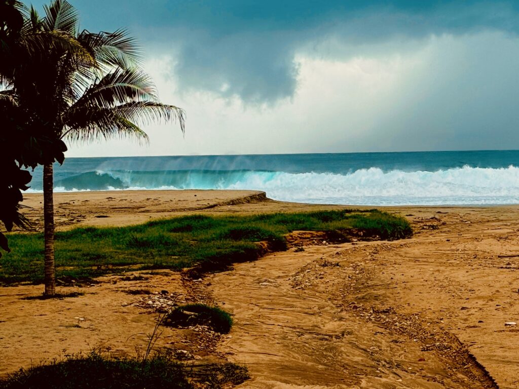 Strand mit braunem Sand, grünem Gras und einer Palme links, dahinter türkisfarbene Wellen und bewölkter Himmel