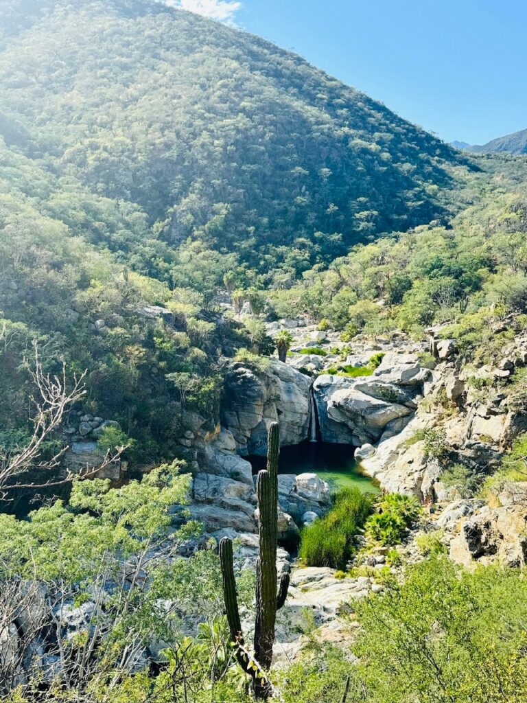 Berglandschaft mit grün bewachsenen Hängen, Felsen und einem kleinen Naturpool mit Wasserfall, im Vordergrund ein hoher Kaktus
