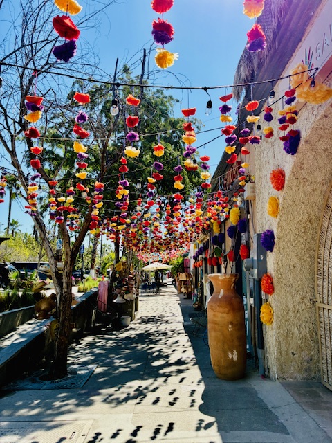 Gehweg mit Bäumen und Häusern, über der Straße hängen bunte Pompons in Rot, Gelb und Lila an Schnüren unter blauem Himmel