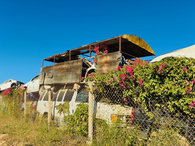 Mehrere Schrottautos stehen hinter einem mit grünem Bewuchs und roten Blüten bewachsenen Maschendrahtzaun unter klarem blauem Himmel. Ein Auto hat einen Aufbau aus verwittertem Holz