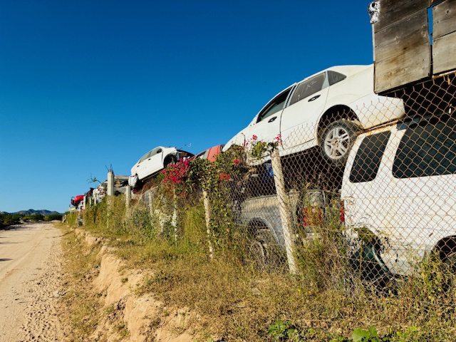 Mehrere Schrottautos stehen hinter einem mit grünem Bewuchs und roten Blüten bewachsenen Maschendrahtzaun unter klarem blauem Himmel