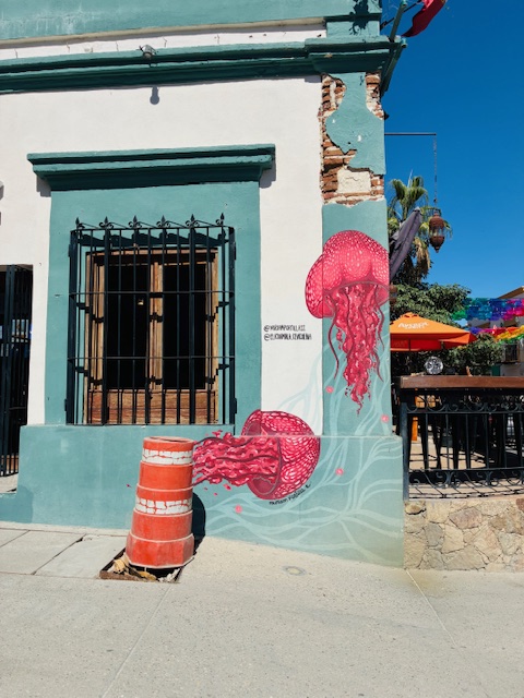 Zwei rote Quallen als Wandmalerei an einer türkisfarbenen Hauswand vor dunkelblauem Himmel
