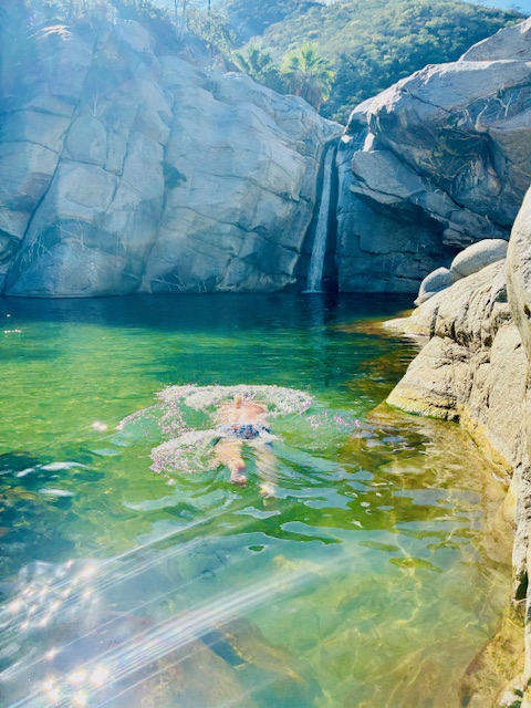 Person schwimmt auf dem Bauch unterwasser in einem klaren, grünen Naturpool vor einem kleinen Wasserfall und Felsen