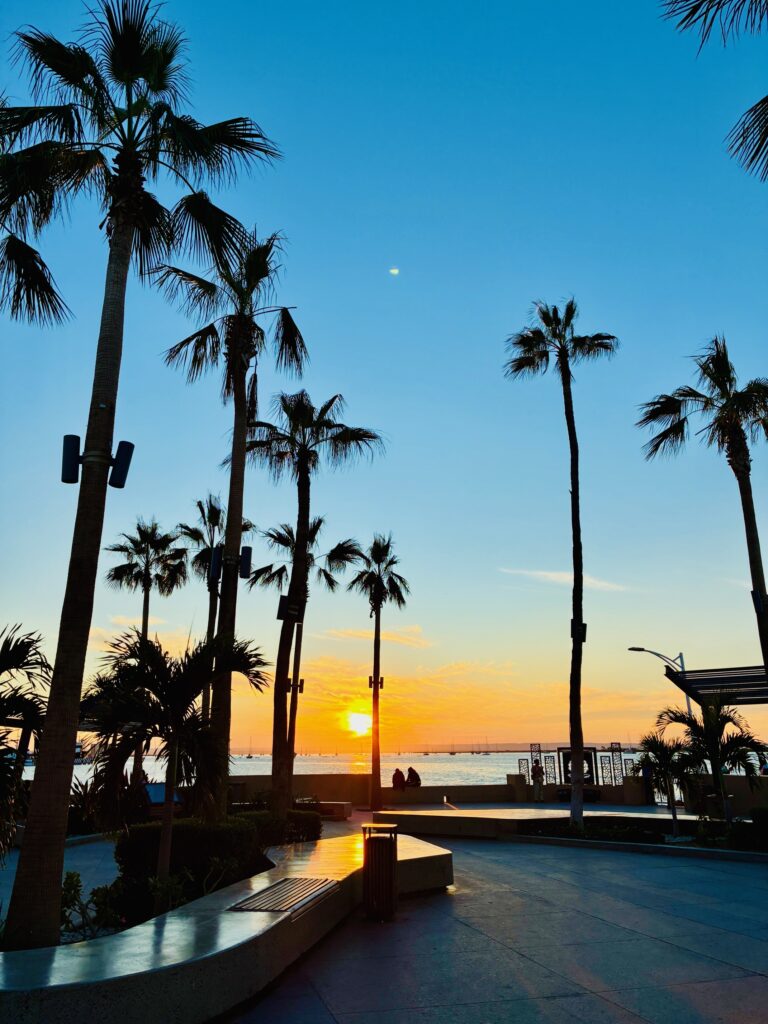 Sonnenuntergang über dem Meer mit mehreren hohen Palmen