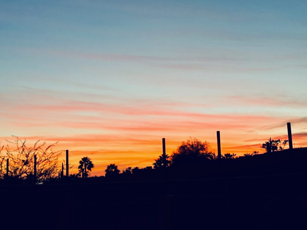 Farbenprächtiger Sonnenuntergang mit orange-rotem Himmel und Silhouetten von Palmen und Kakteen