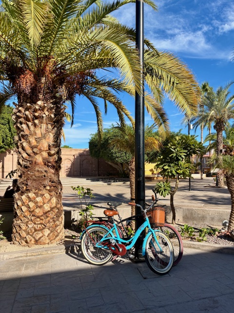 Ein schwarzes und ein türkisfarbenes Fahrrad mit braunem Sattel und Korb lehnen an schwarzem Laternenpfahl vor Palmen und blauem Himmel