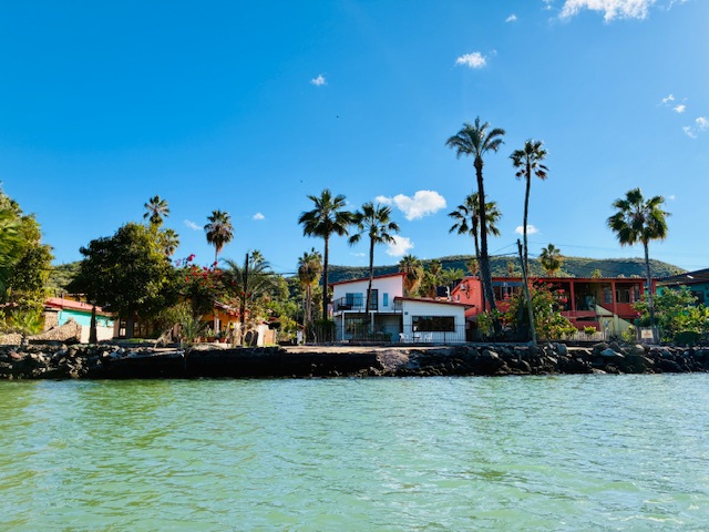 Ufer mit mehreren Palmen und bunten Häusern unter blauem Himmel mit wenigen Wolken