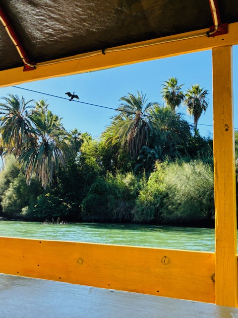 Aufnahme durch einen gelben Bootsrahmen zeigt Flussufer mit Palmen und dichter Vegetation, darüber sitzt ein Vogel auf einer Leitung