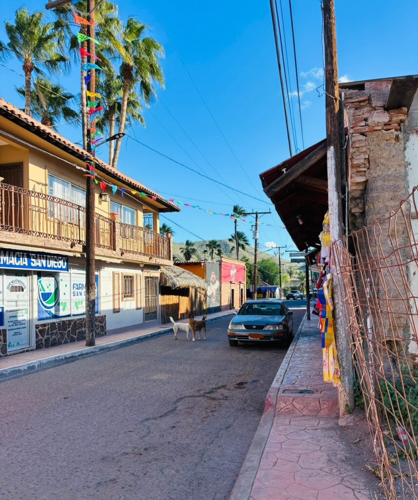 Straße mit parkendem Auto, zwei spielenden Hunden auf der Fahrbahn, Häuser mit Balkonen und bunten Wimpeln an Stromleitungen