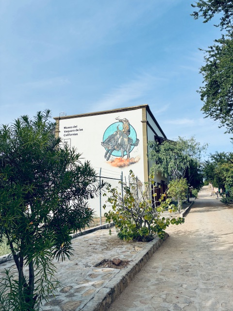 Wandgemälde eines Cowboys auf einem Bullen an der Fassade eines Gebäudes mit der Aufschrift 'Museo del Vaquero de las Californias' davor Bäume unter blauem Himmel