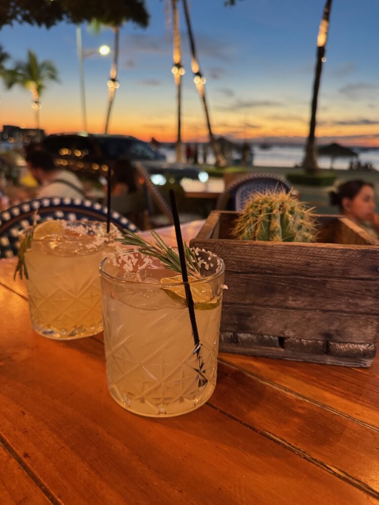 Zwei Gläser mit Margeritas mit Salz, Eis und Strohhalmen auf Holztisch, daneben ein Kaktus in Holzkiste, im Hintergrund Palmen und Sonnenuntergang am Meer