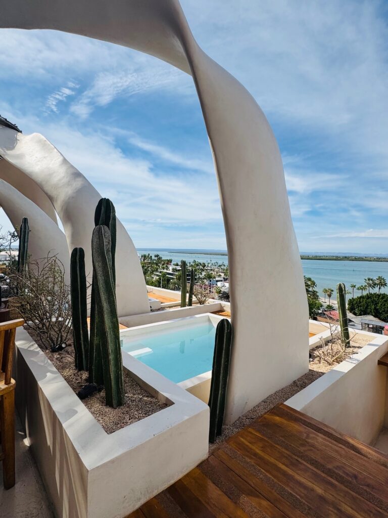 Moderner Balkon mit geschwungenen, flachen Säulen und rechteckigem, kleinen Pool. Mehrere große Kakteen, Blick auf Meer und Palmen