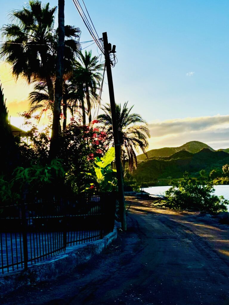Weg an einem Fluss mit Palmen, durch die die untergehende Sonne leuchtet, im Hintergrund Hügel unter klarem Himmel