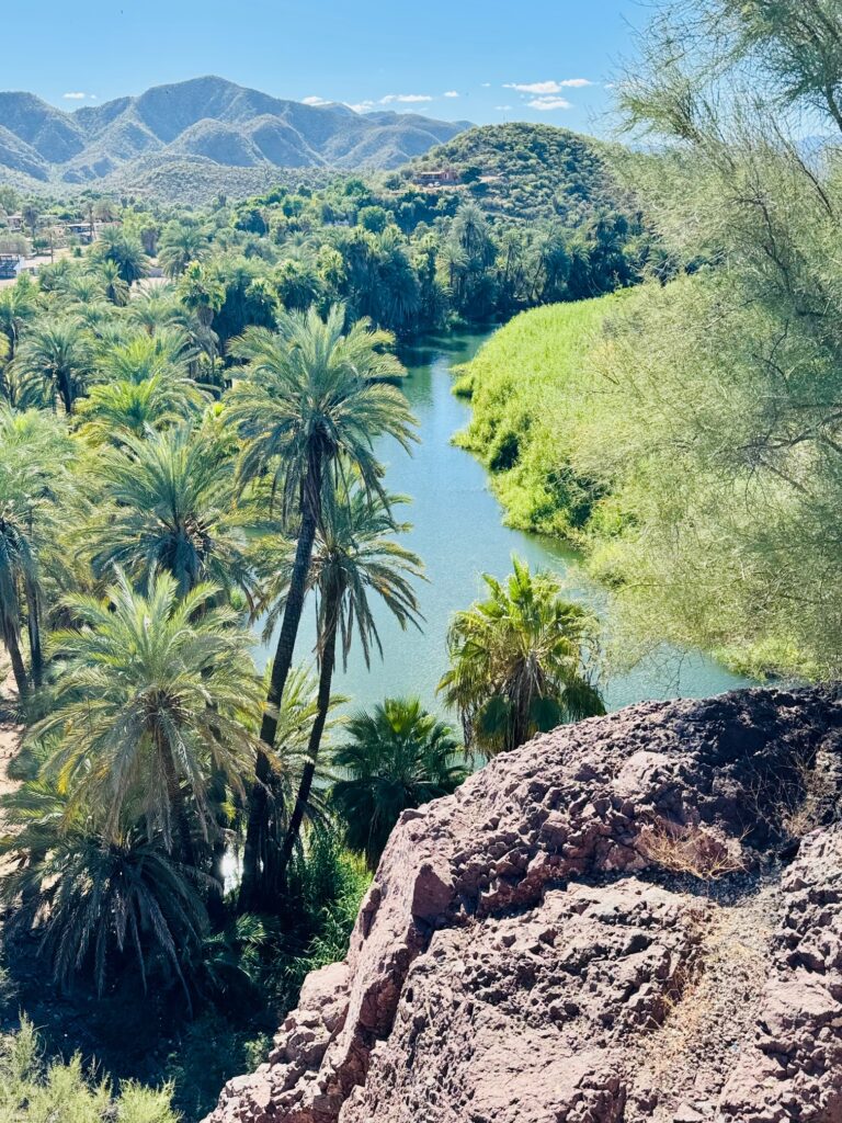 Flussbiegung mit grünen Uferpflanzen und Palmen vor bewaldeten Bergen unter blauem Himmel