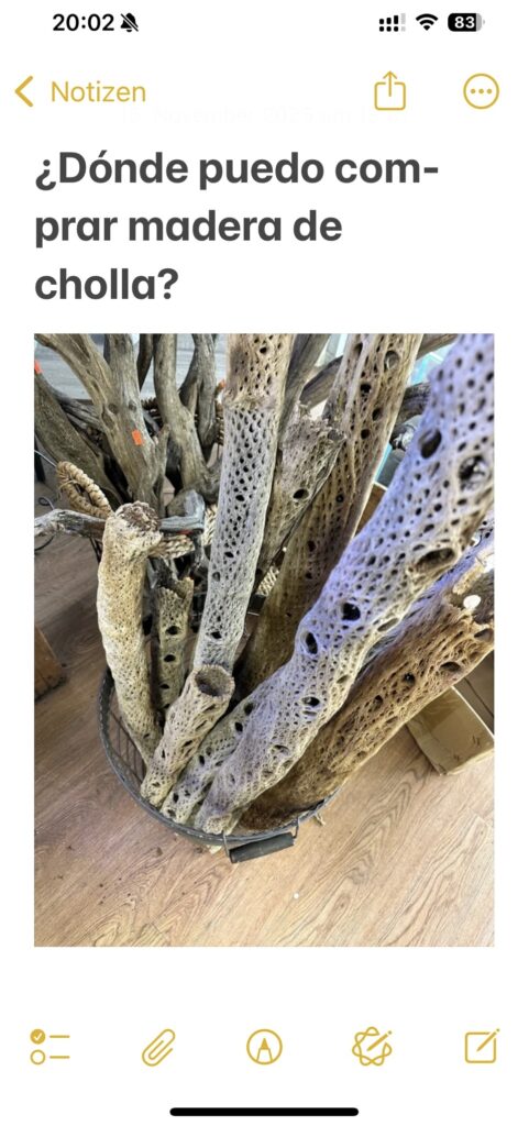 Mehrere längliche, poröse Holzstücke mit vielen Löchern stehen in einem runden Behälter auf einem Holzboden. Darüber geschrieben in Spanisch: Dónde puedo comprar madera de cholla?