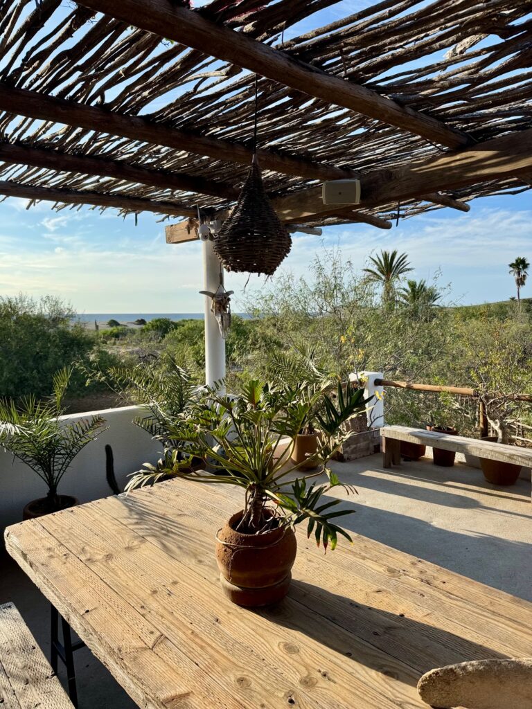 Mit Holzzweigen überdachte Terrasse mit Holztisch, darauf ein Topf mit grüner Pflanze, darüber ein geflochtener Lampenschirm, im Hintergrund Sträucher und Palmen unter blauem Himmel