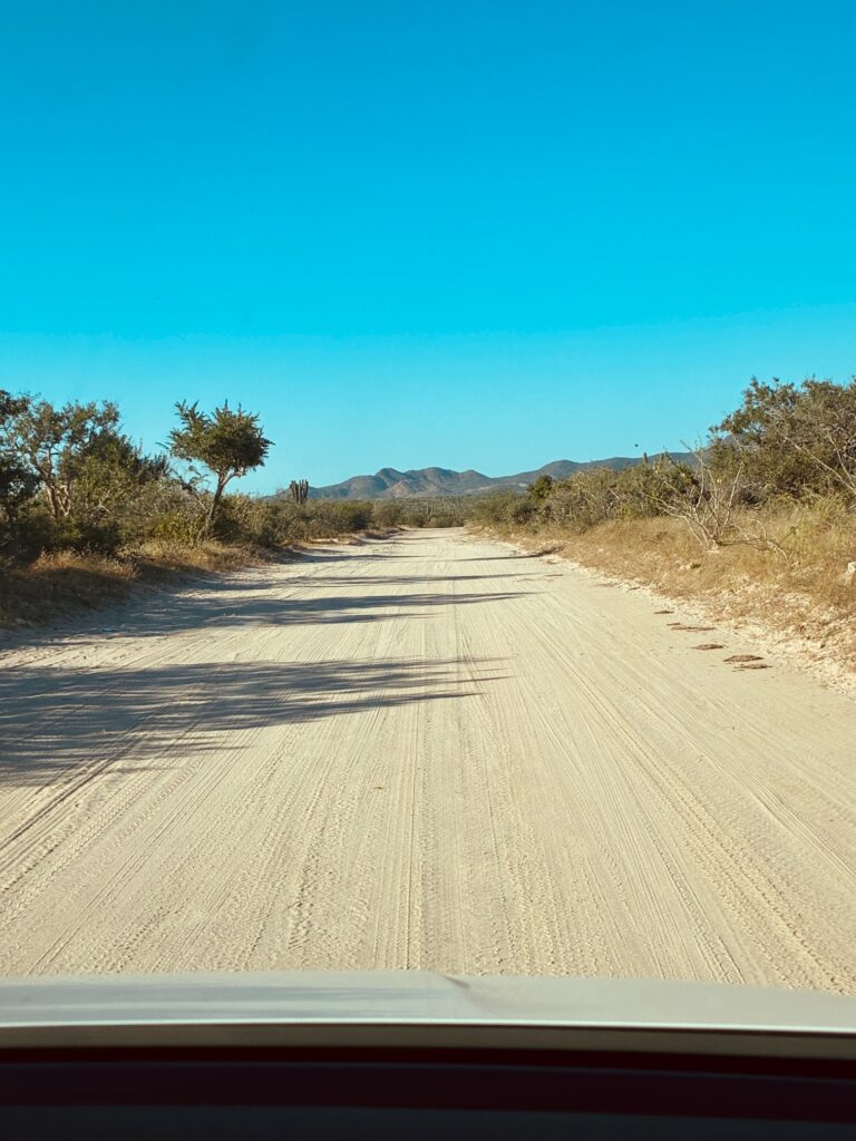 Unbefestigte Straße in einer trockenen Landschaft mit vereinzelten Büschen und Bergen im Hintergrund unter klarem Himmel.