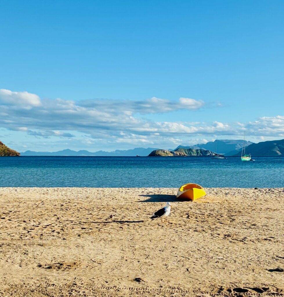 Strand mit Sand, einer gelben Kajakliege und einer Möwe, dahinter Meer mit Segelboot und Inseln unter blauem Himmel