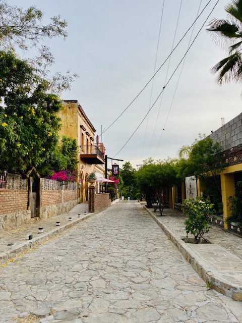 Kleine gepflasterte Straße mit Bäumen, Palmen und Gebäuden unter blassem Himmel