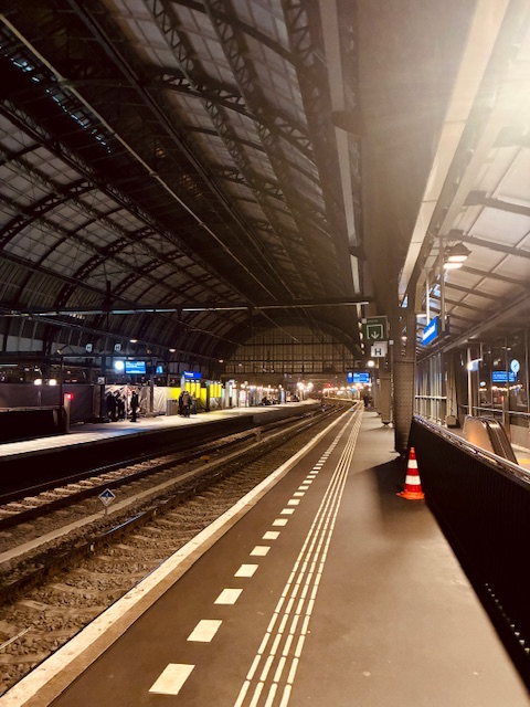 Leerer Bahnsteig mit Gleisen unter einem großen, gewölbten Bahnhofsdach in der Nacht