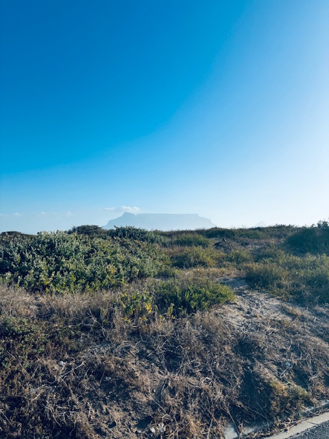 Küstenlandschaft mit niedriger Vegetation unter klarem blauem Himmel. Im Hintergrund im Dunst der Tafelberg in Kapstadt