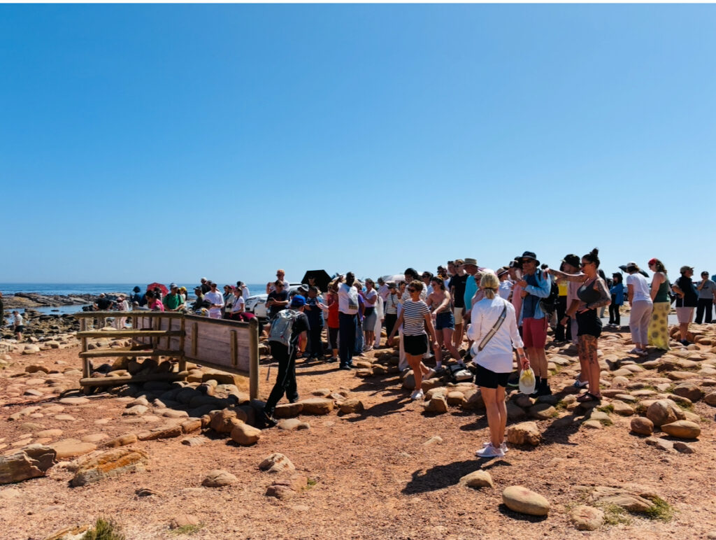 Große Gruppe von Menschen steht eng gedrängt auf felsigem Küstenabschnitt bei klarem Himmel und blickt auf Informationstafeln