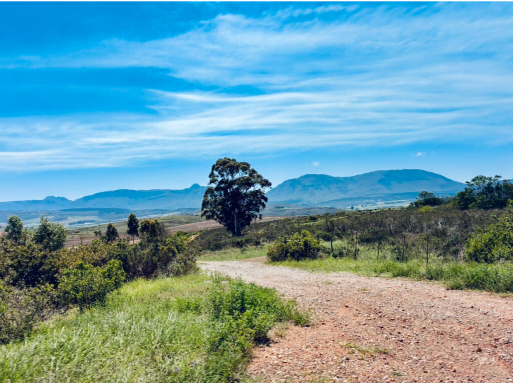 Landschaft mit unbefestigtem Weg, Büschen, einzelnen Bäumen und Bergen im Hintergrund unter blauem Himmel mit Wolken