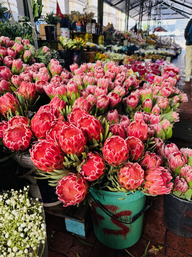 Marktstand mit mehreren Eimern voller roter und rosa Proteablüten in einem überdachten Blumenmarkt