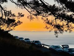 Lange Autoschlange steht auf einer Küstenstraße unter Bäumen bei Sonnenuntergang mit Blick auf das Meer