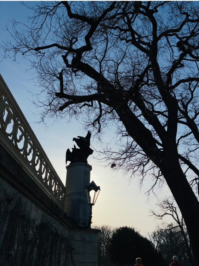Silhouette eines großen Baums mit kahlen Ästen neben einer Mauer mit Laterne und einer Statue auf einem Pfeiler im Gegenlicht am Schloss Babelsberg in Potsdam