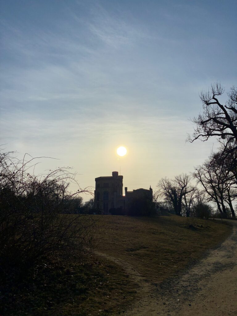 Schloss auf einem Hügel mit Weg im Vordergrund und tiefstehender Sonne am Himmel