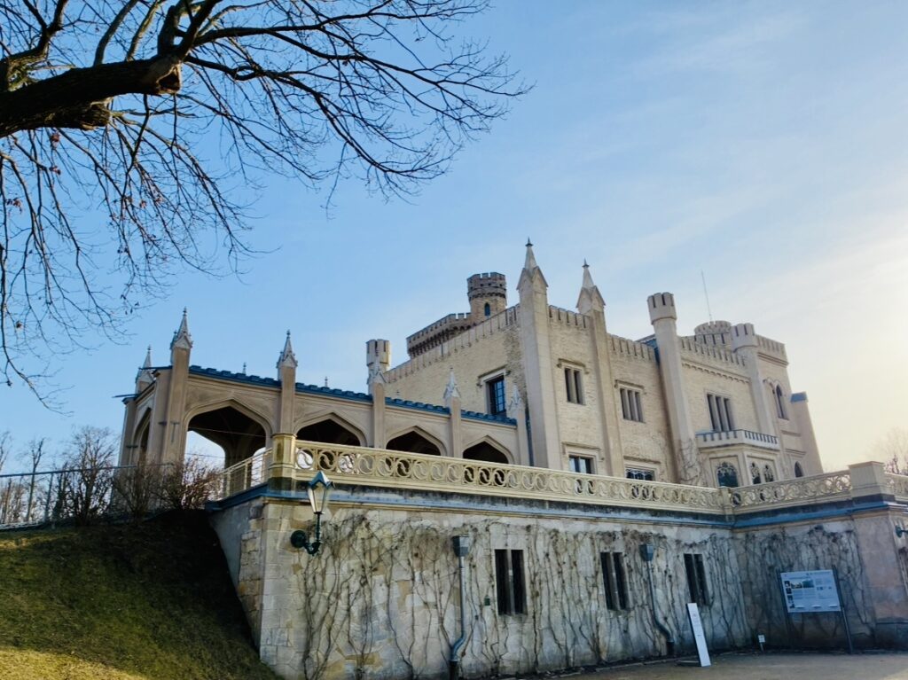 Schloss Babelsberg in Potsdam mit gotisch anmutender Architektur auf einem Hügel unter blauem Himmel und kahlem Baum im Vordergrund