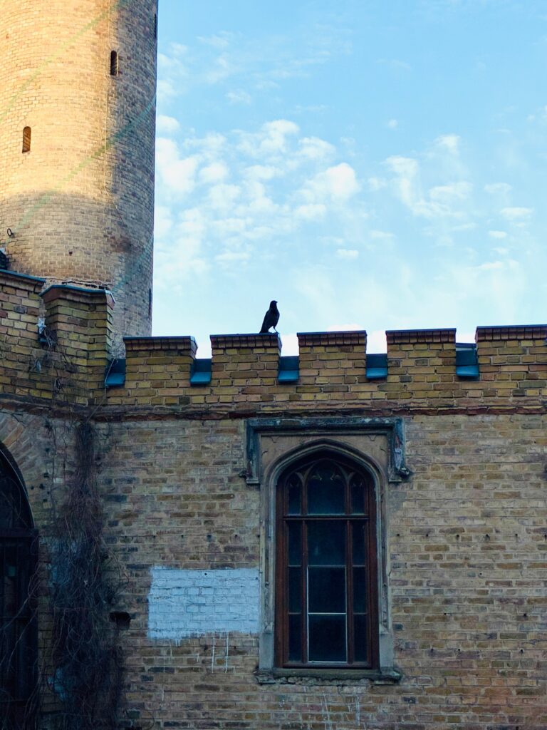 Mauer mit Zinnen und gotischem Fenster vor einem runden Turm, auf der Mauer sitzt ein Rabe