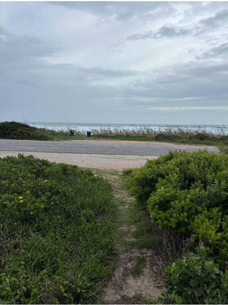 Pfad zwischen grünen Büschen führt zu einer Straße mit Blick auf das Meer unter bewölktem Himmel