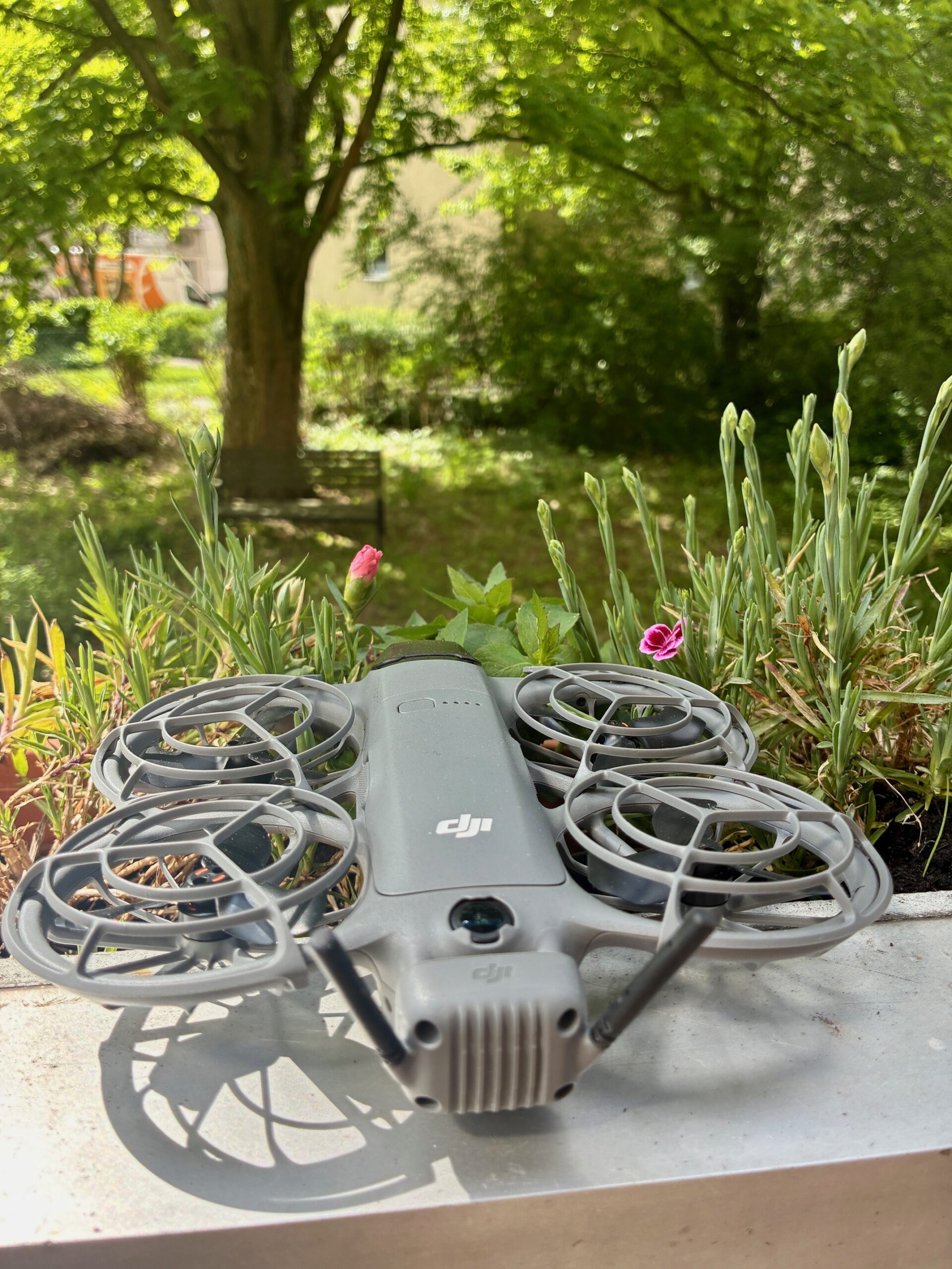 Drohne mit Propellerschutz auf einem Balkon vor grünem Garten mit Baum und Blumen