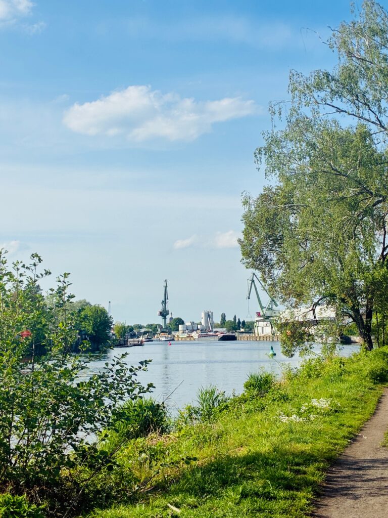 Blick auf einen Fluss mit Hafenkränen im Hintergrund und einem schmalen Weg rechts, umgeben von grünen Bäumen und Sträuchern unter blauem Himmel mit freundlichen Wolken