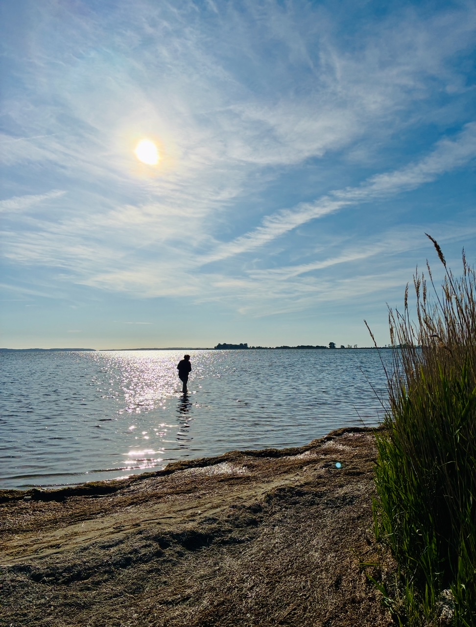 Person steht im flachen Wasser eines Boddens unter klarem Himmel mit freundlichen Wolken und tiefstehender Sonne