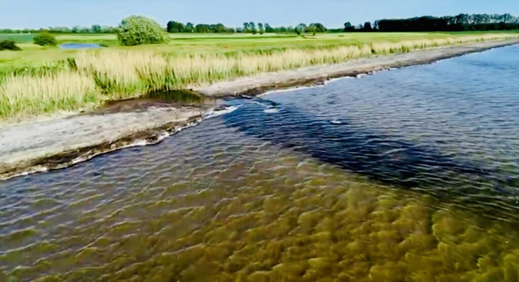 Luftaufnahme eines flachen Uferbereichs mit klarem Wasser und einem grasbewachsenen Landstreifen im Hintergrund