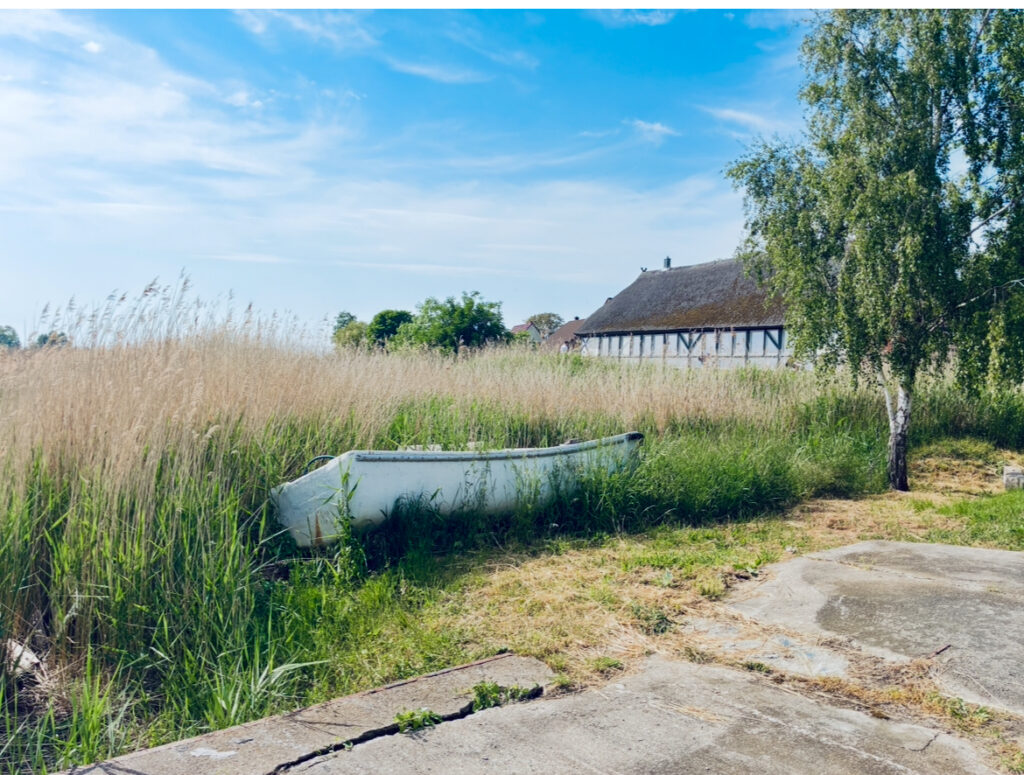 Ein weißes Boot liegt im hohen Gras vor einem Fachwerkhaus mit Reetdach unter blauem Himmel
